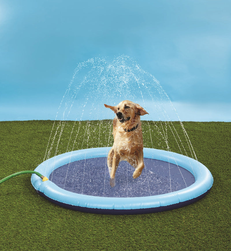 Pool Water Fountain Mat, Water Fountain Pool Dog