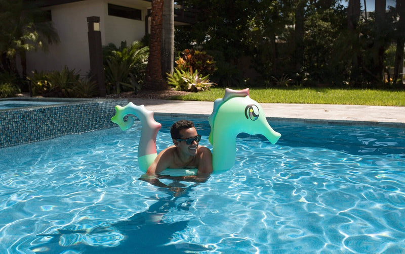 Seahorse Ride-On Pool Noodle